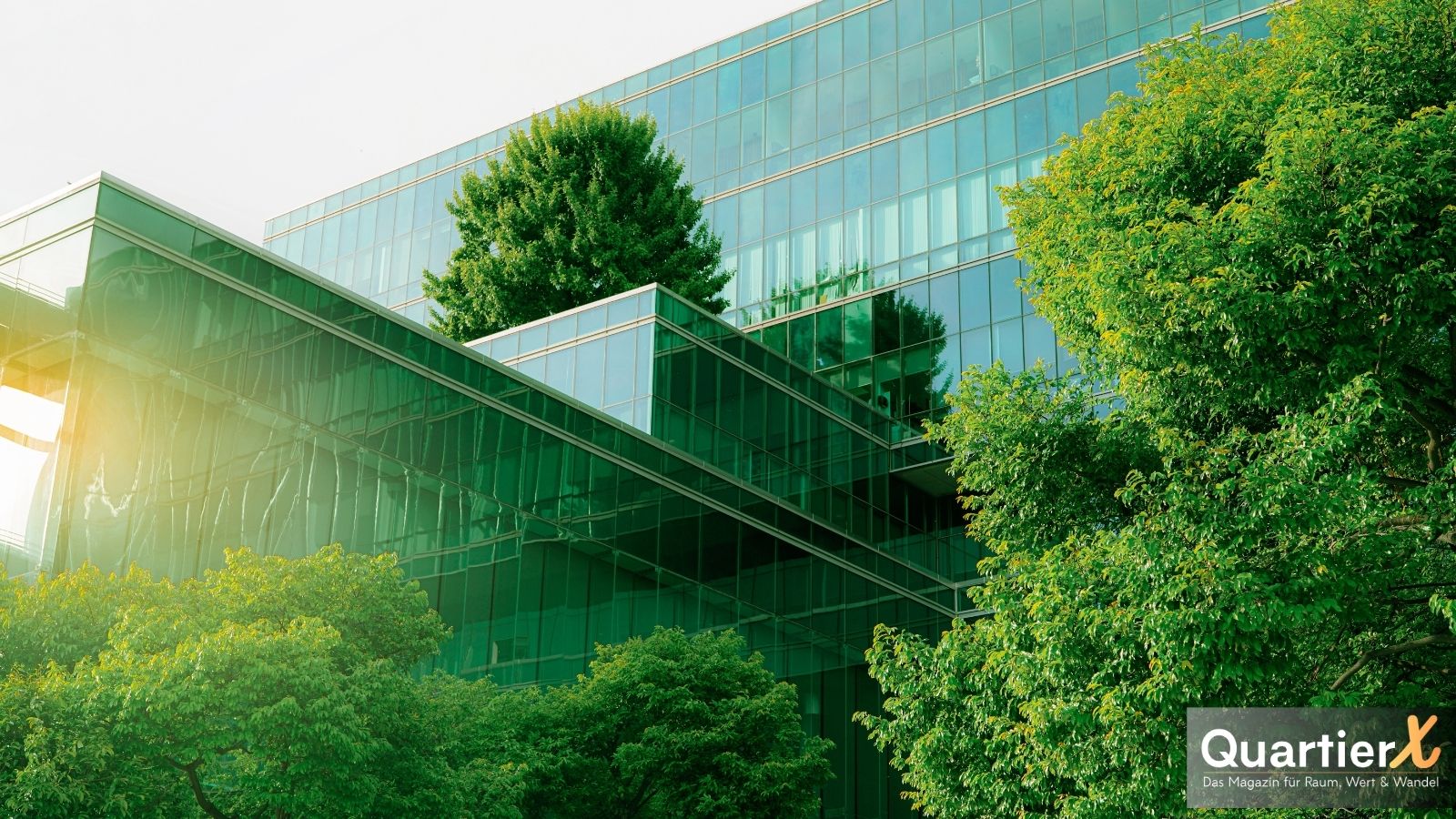 Biphiles Bauen im Aufwind - QuartierX Bericht